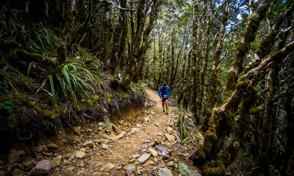 The Old Ghost Road, West Coast
