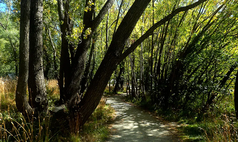 New Chums Loop, Otago