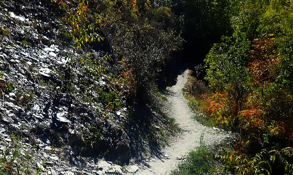 New Chums Loop, Otago