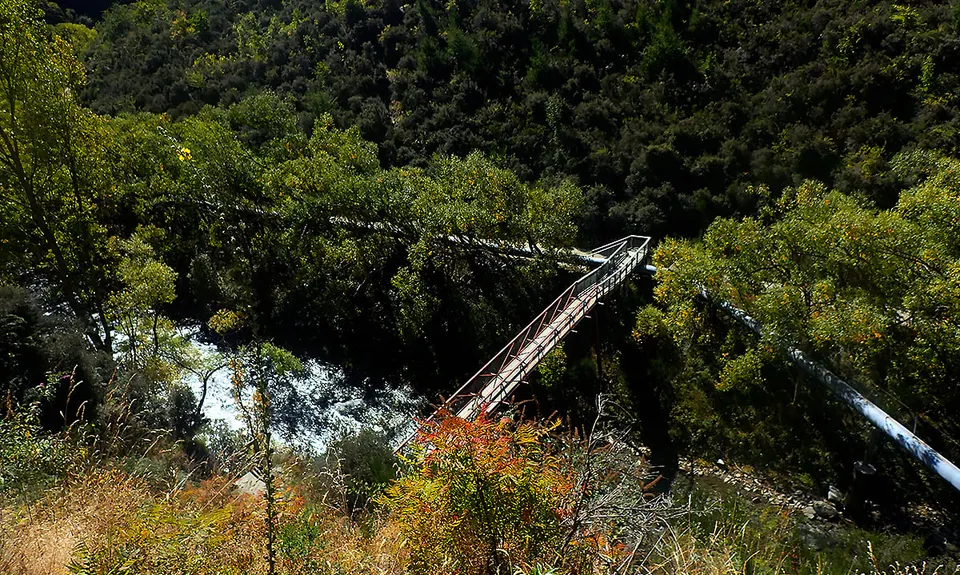 New Chums Loop, Otago