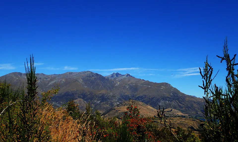 New Chums Loop, Otago