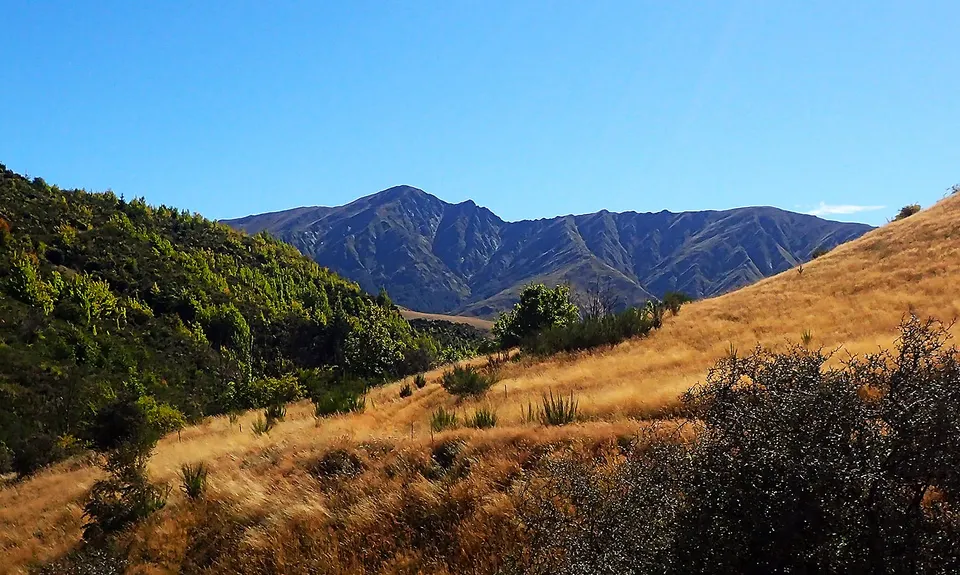 New Chums Loop, Otago