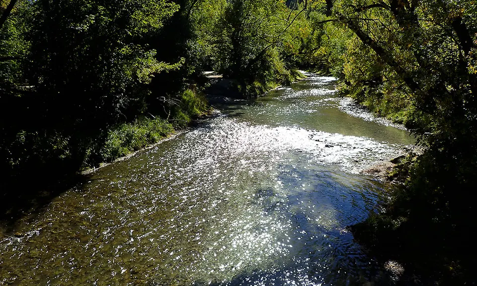 New Chums Loop, Otago