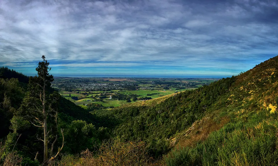 Harvey Moore Whitehorse Loop, Canterbury