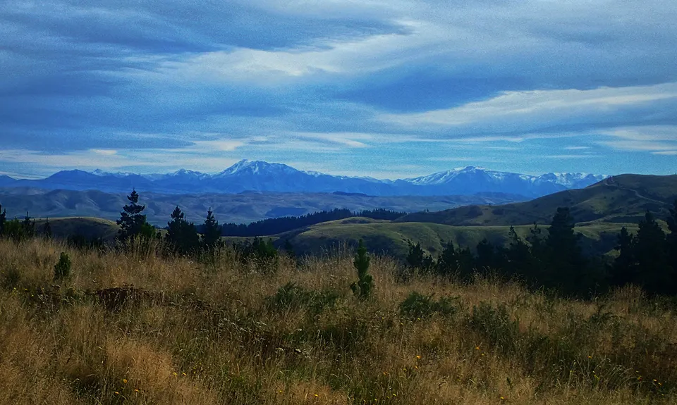 Harvey Moore Whitehorse Loop, Canterbury