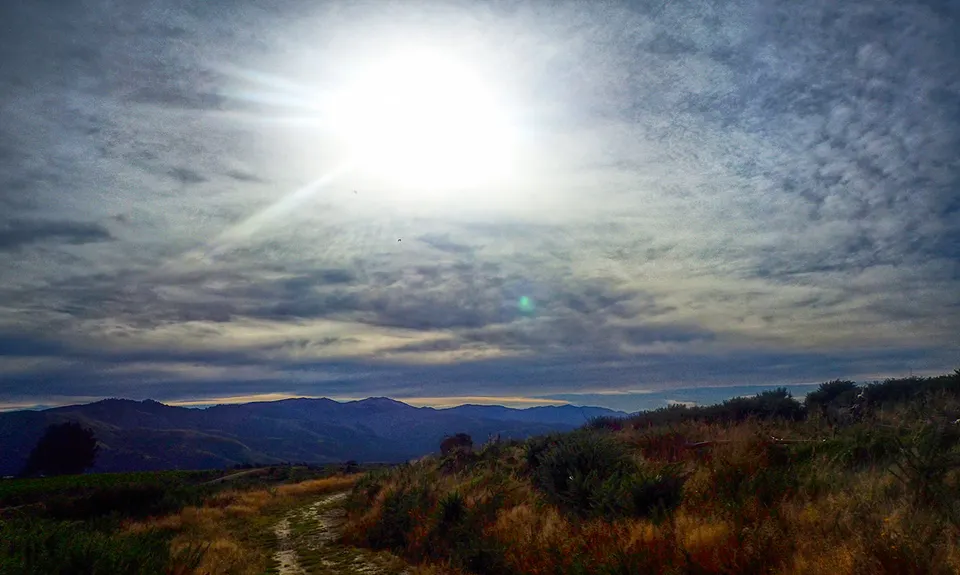Harvey Moore Whitehorse Loop, Canterbury