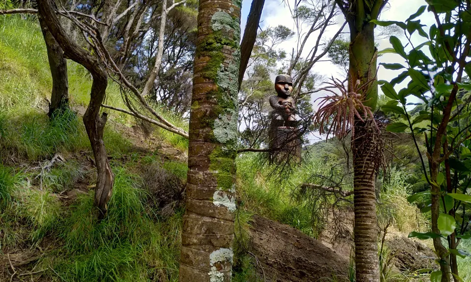 Lake Wainamu Loop, Auckland