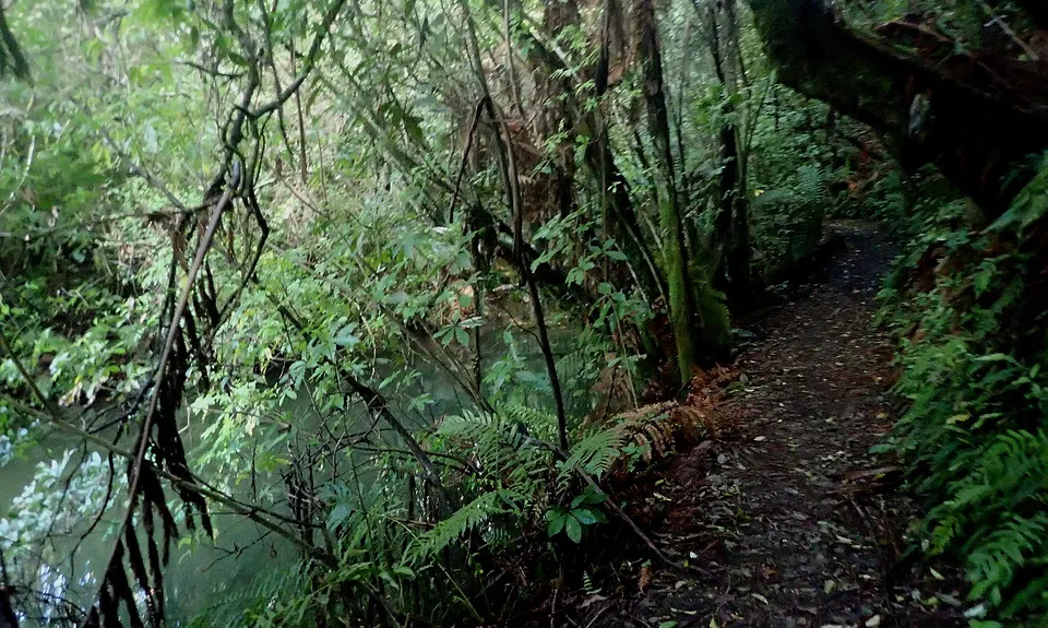 Lake Mangamahoe, Taranaki