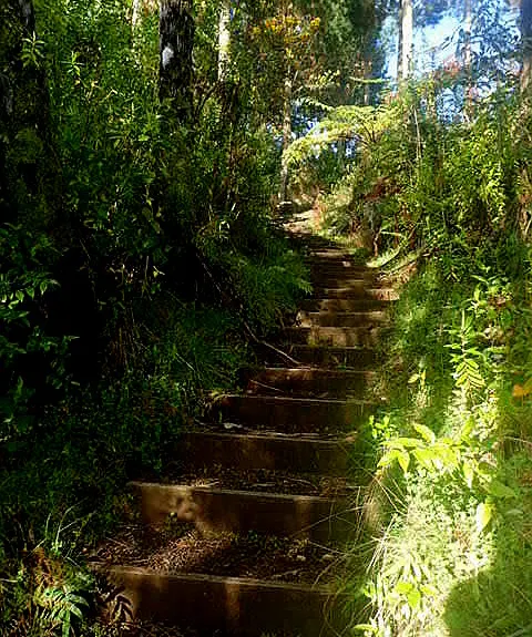 Lake Mangamahoe, Taranaki