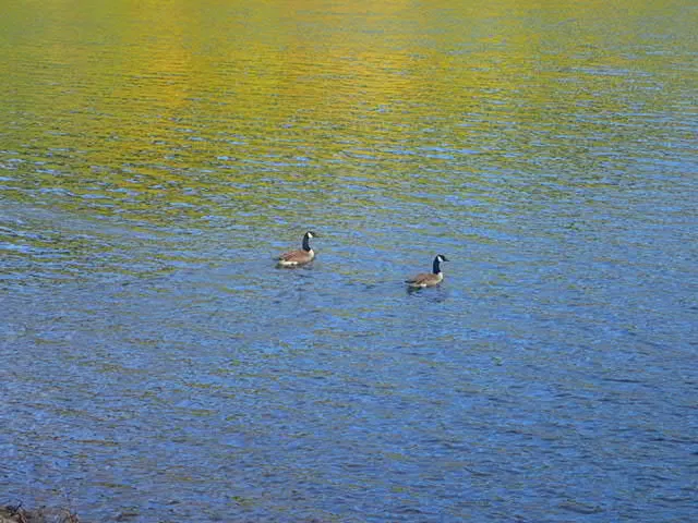 Lake Mangamahoe, Taranaki