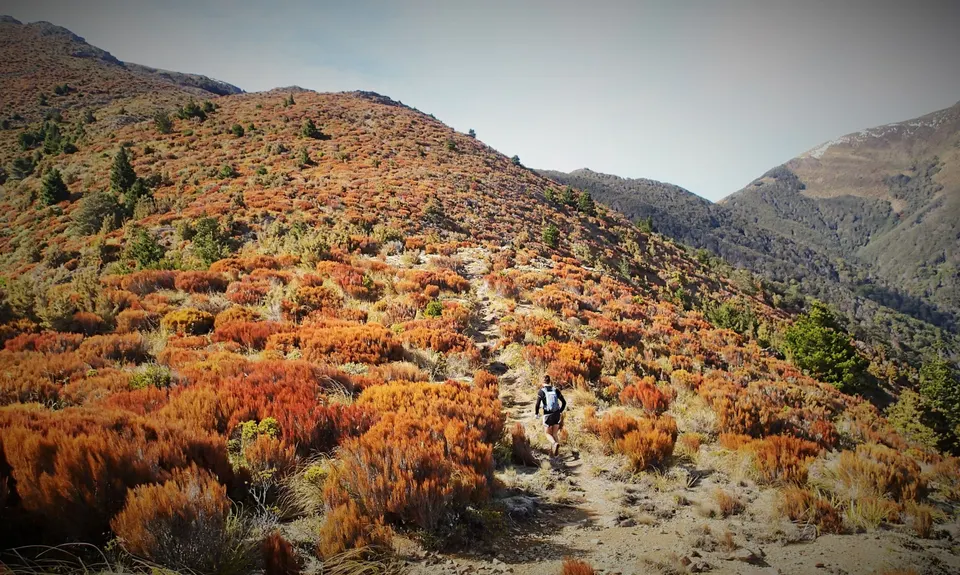 Hunters Hut Mission , Tasman