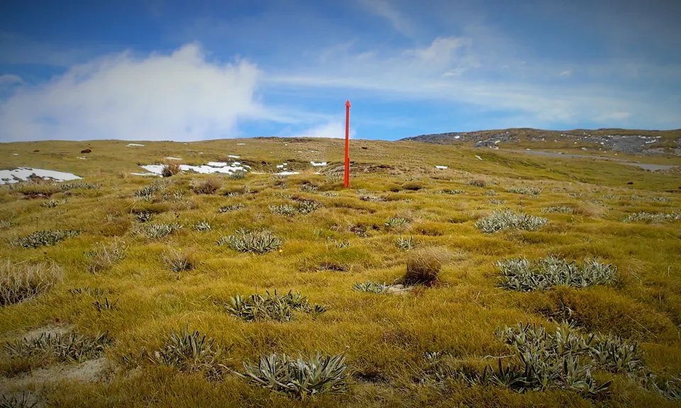 Hunters Hut Mission , Tasman