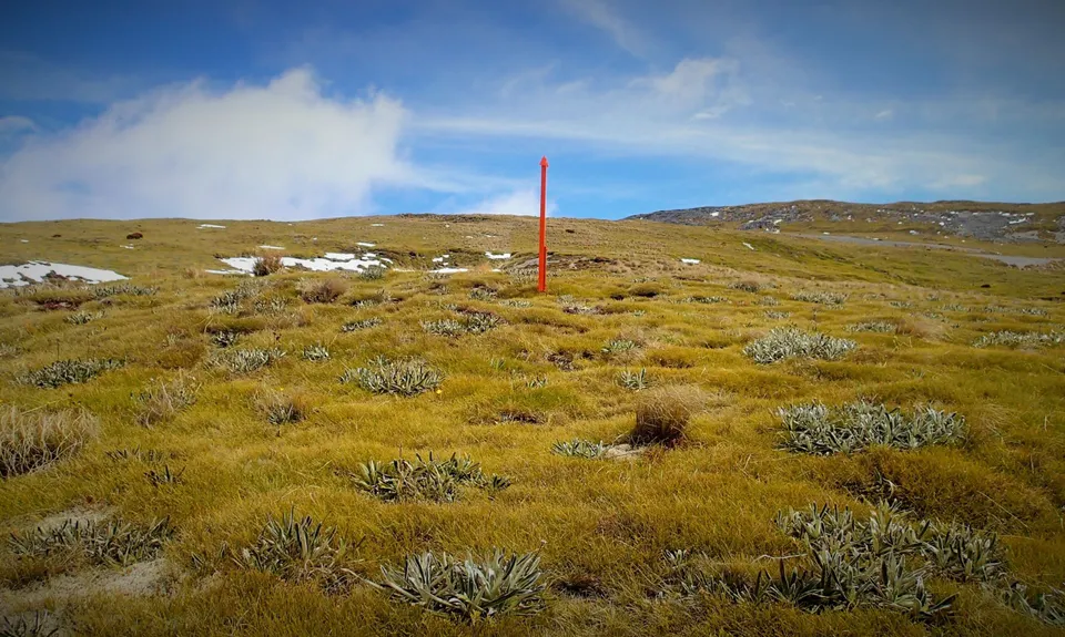 Hunters Hut Mission , Tasman