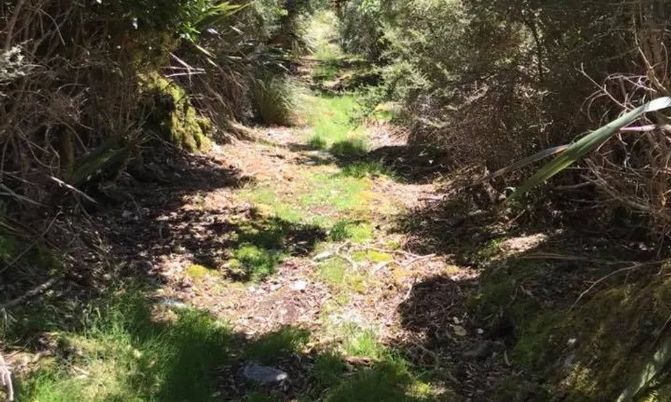 Browning Pass - Southern Alps Crossing, Canterbury