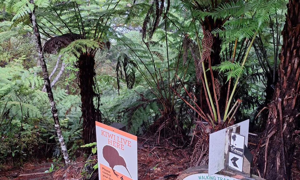Paihia - Russell Loop, Northland