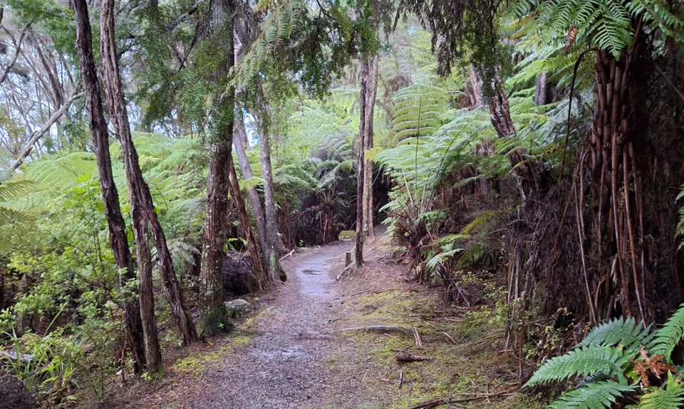 Paihia - Russell Loop, Northland