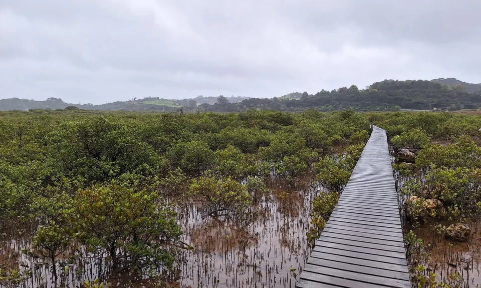 Paihia - Russell Loop, Northland