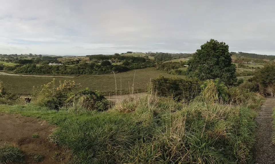 Mangemangeroa Track, Auckland
