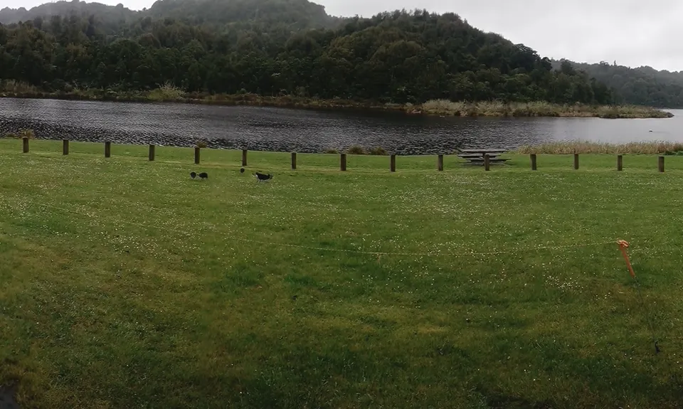 Rotokare Loop-da-Loop, Taranaki