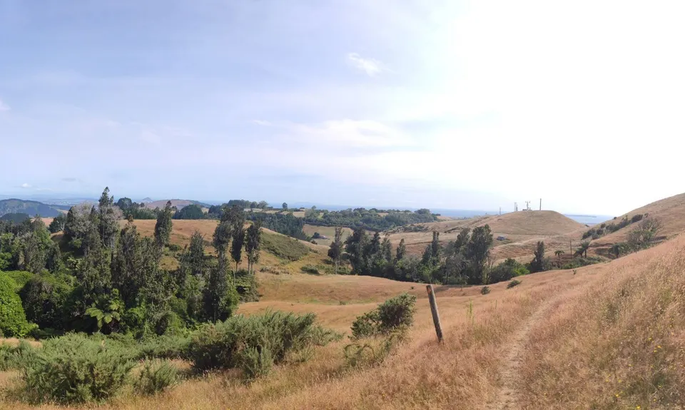 Otanewainuku to Otawa, Bay of Plenty