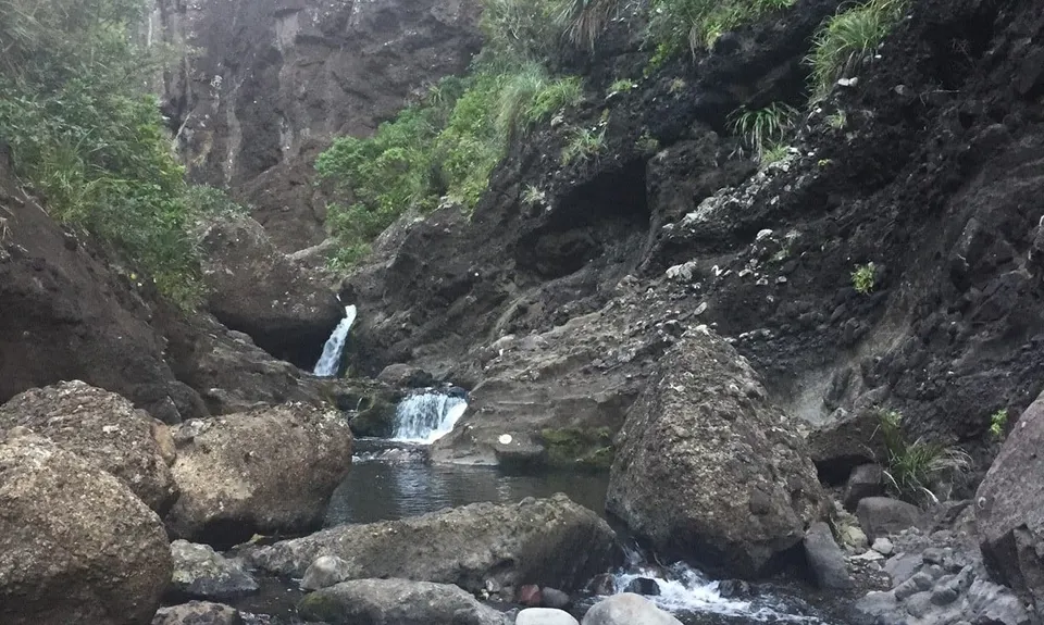 Pararaha Cowans Stream Bash, Auckland