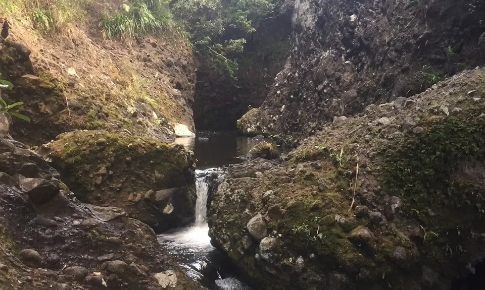 Pararaha Cowans Stream Bash, Auckland