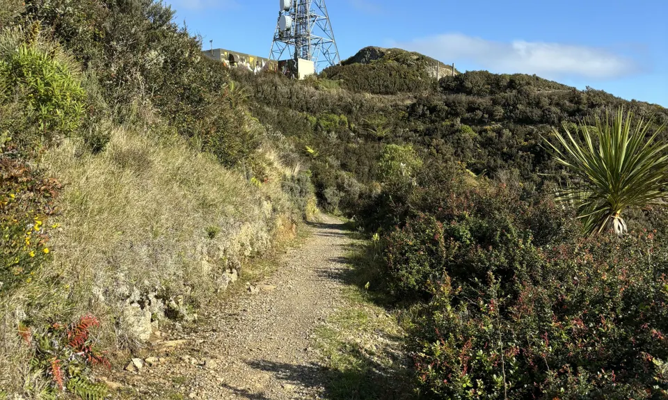 Park 2 Peak 2 Park, Wellington