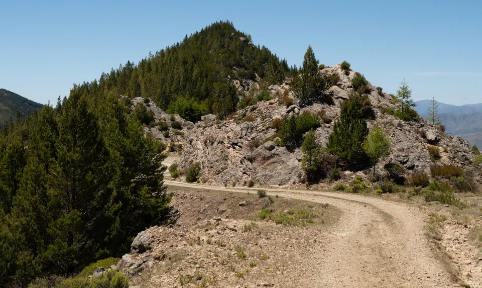 Patriarch Road and Goulter Valley, Marlborough