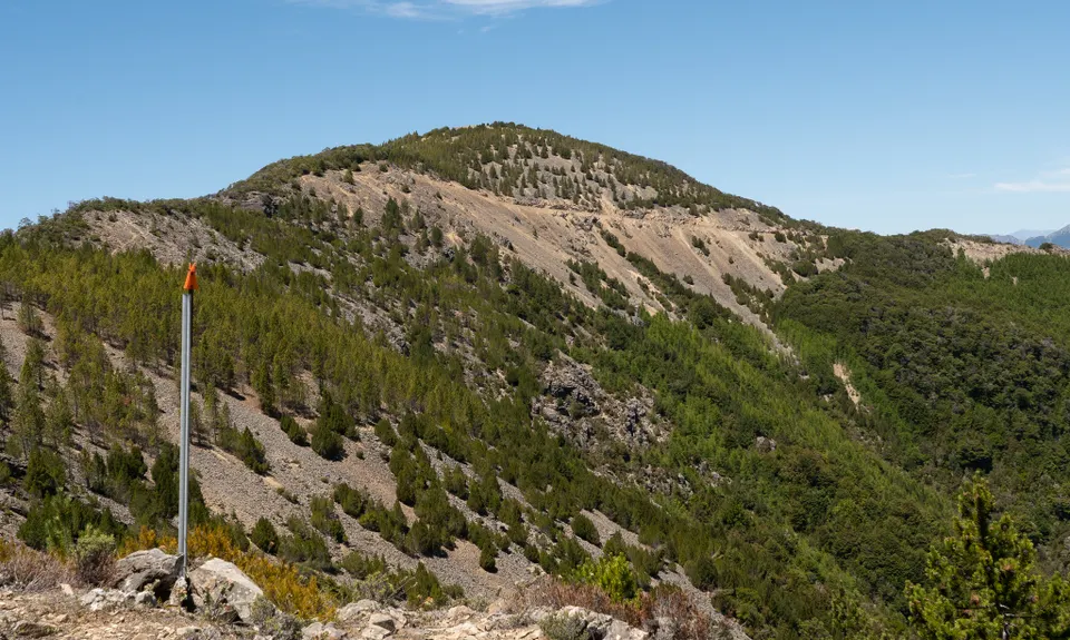Patriarch Road and Goulter Valley, Marlborough