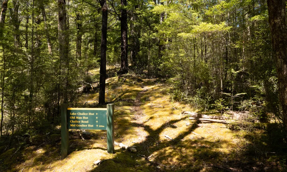 Patriarch Road and Goulter Valley, Marlborough
