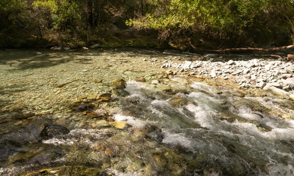 Patriarch Road and Goulter Valley, Marlborough
