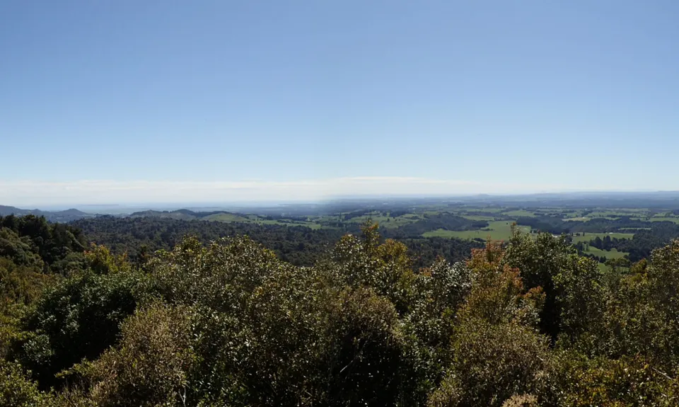 Otainewainuku - Whataroa Falls, Bay of Plenty