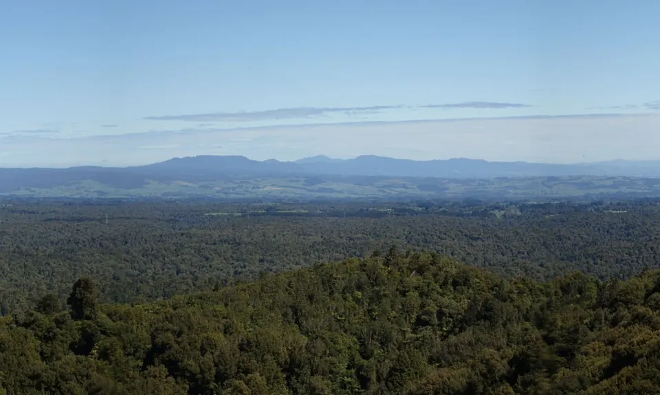 Otainewainuku - Whataroa Falls, Bay of Plenty