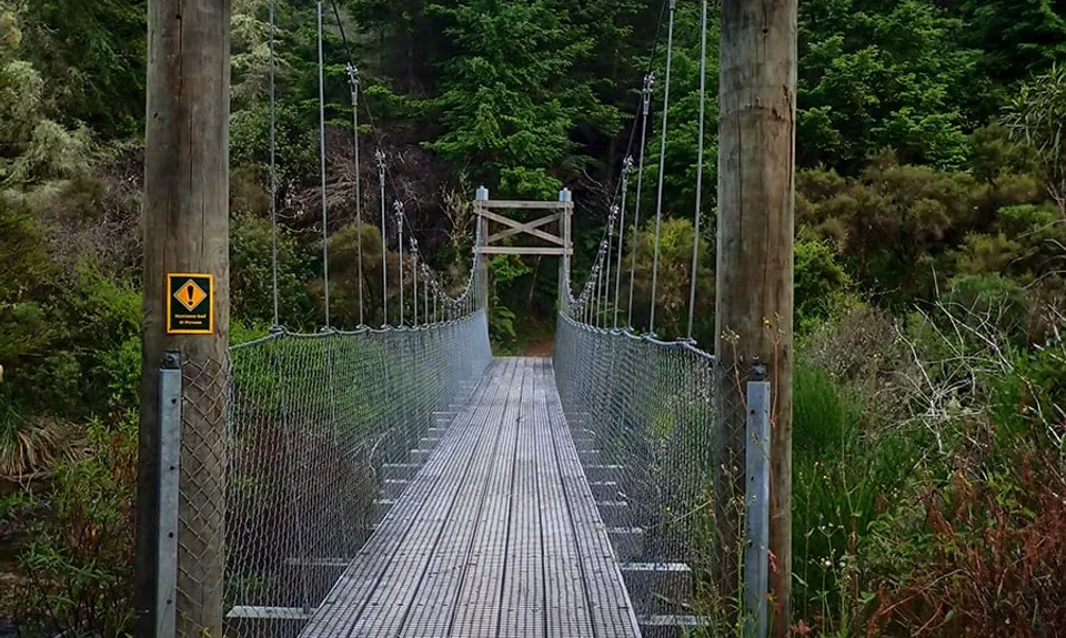Waihaha Trail - Out & Back, Waikato