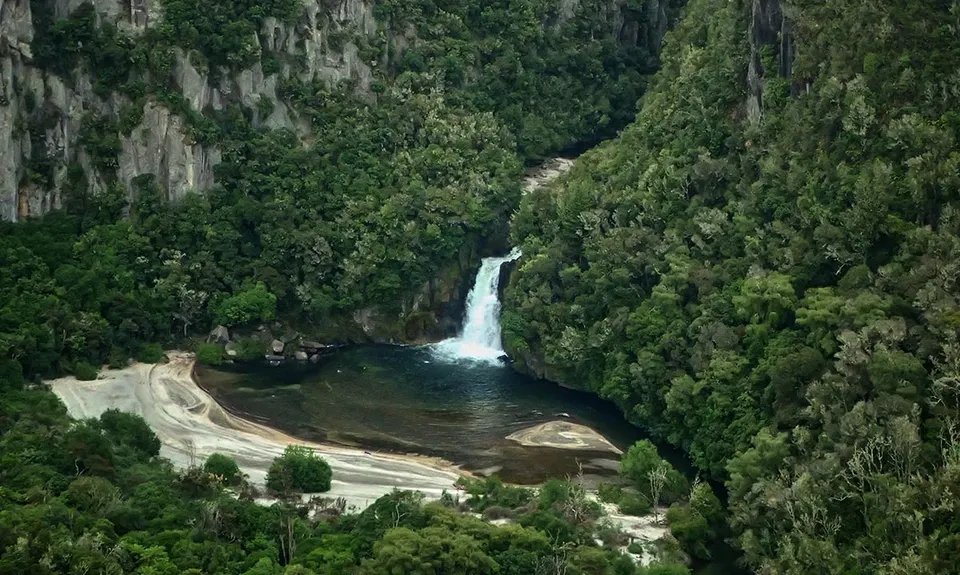 Waihaha Trail - Out & Back, Waikato