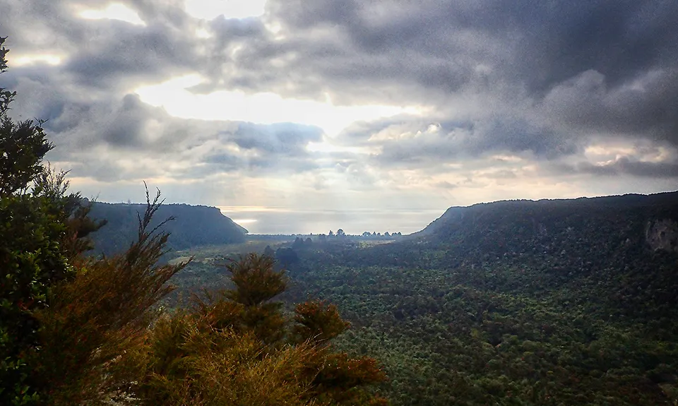 Waihaha Trail - Out & Back, Waikato