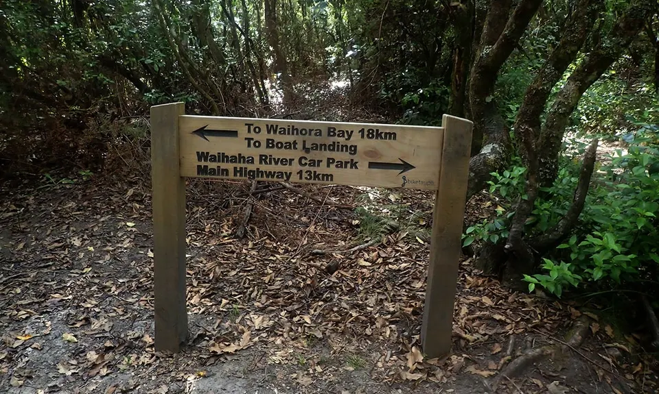 Waihaha Trail - Out & Back, Waikato