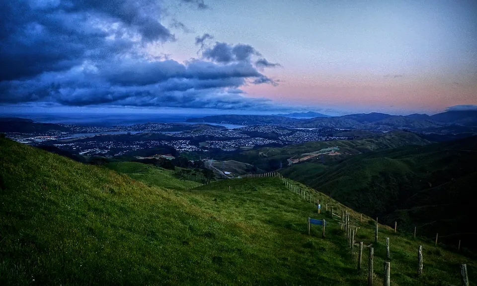 Belmont Trig, Wellington