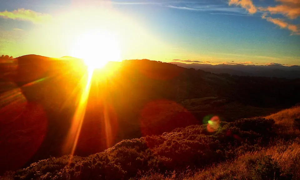 Belmont Trig, Wellington