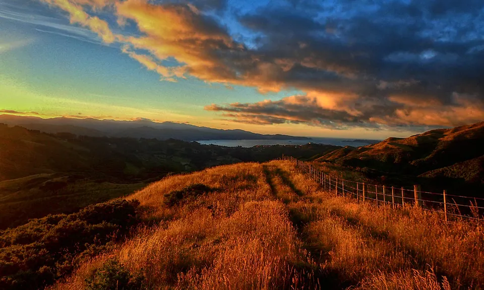 Belmont Trig, Wellington