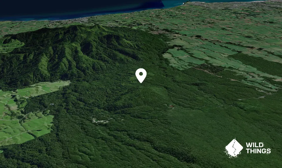 Pukeiti