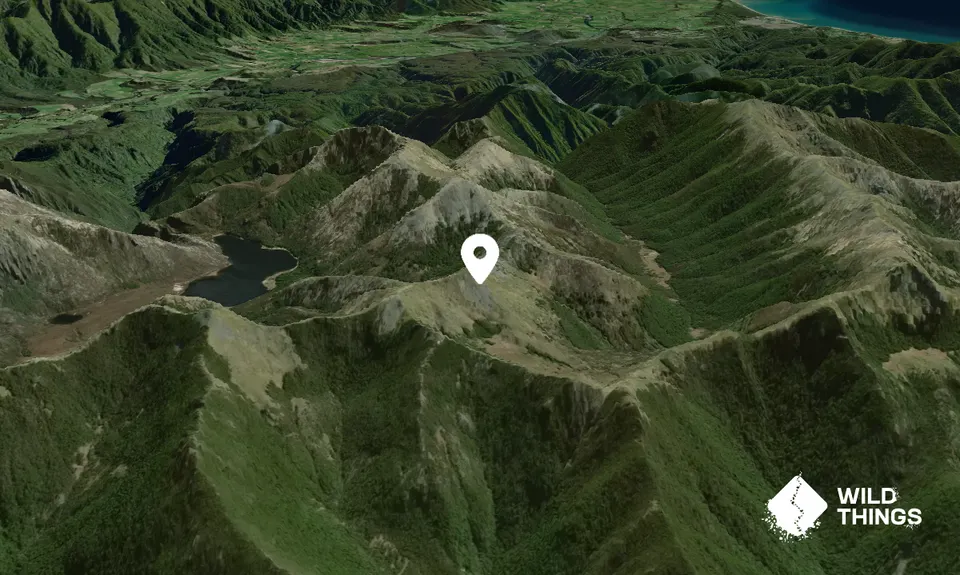 Caesar Knob
