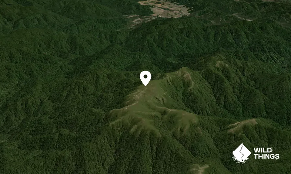 Te Pukeohikarua