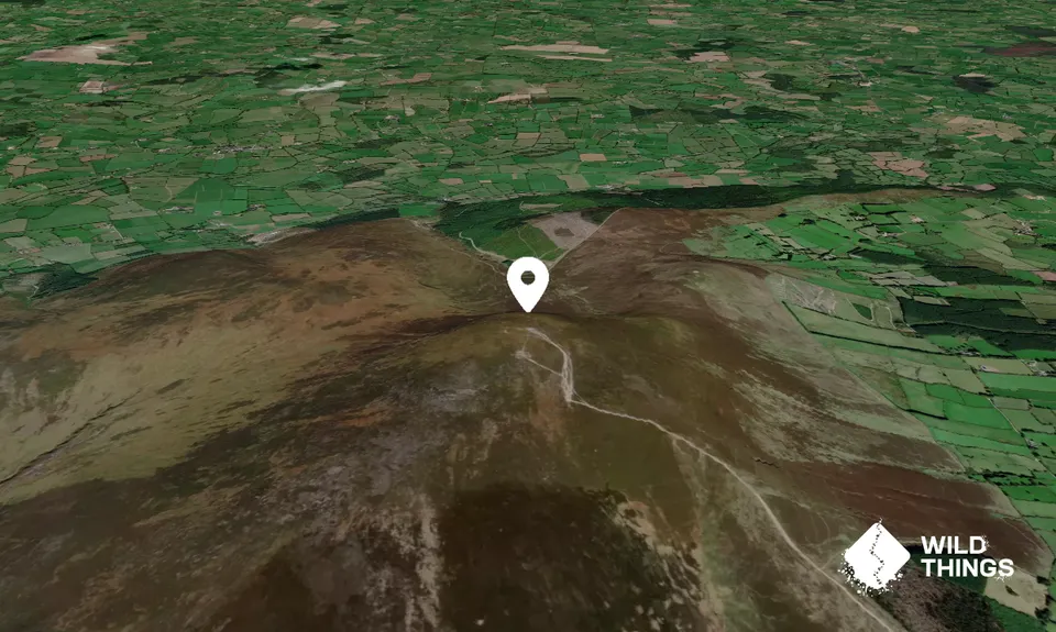 Slievenamon