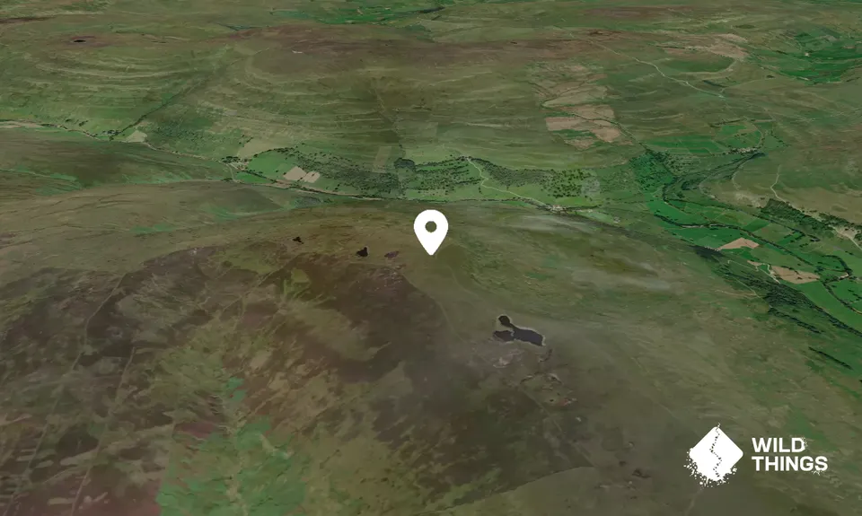 Birks Fell