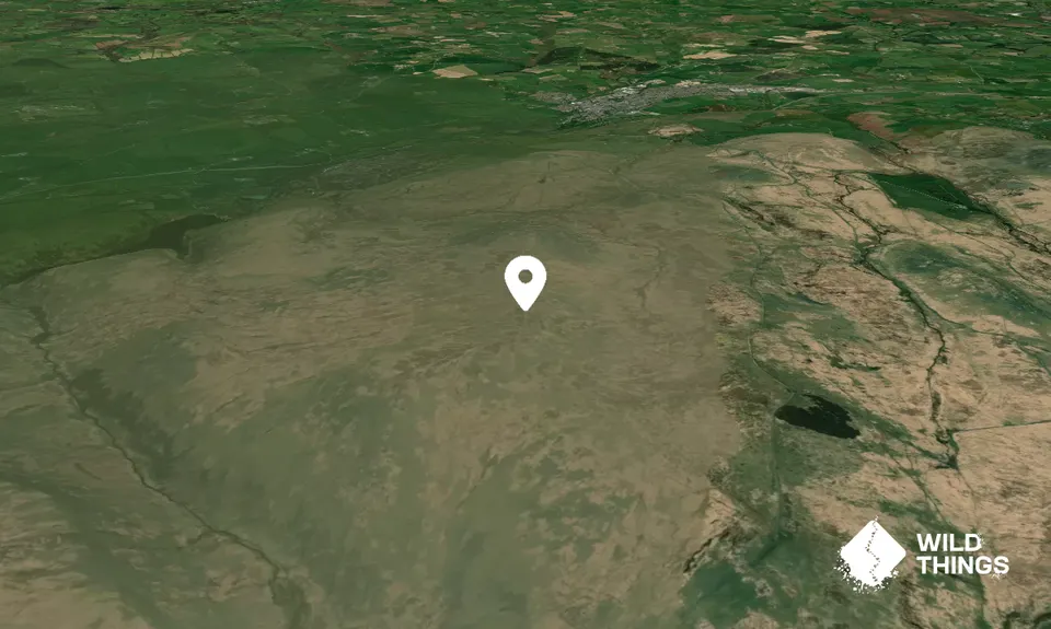 High Willhays Tor