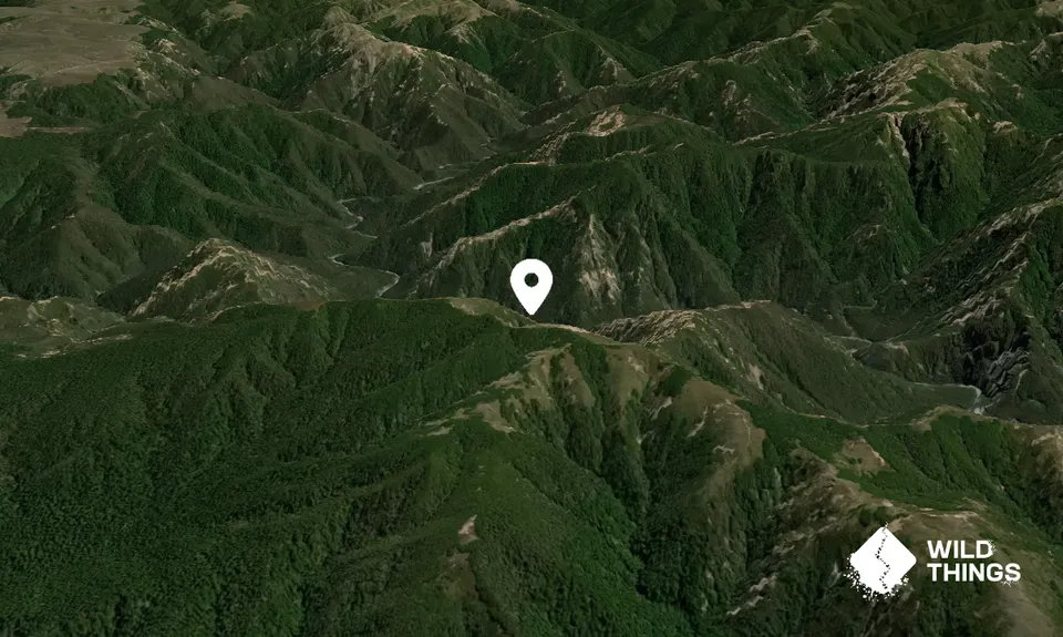 Te Iringa (Kawekas)