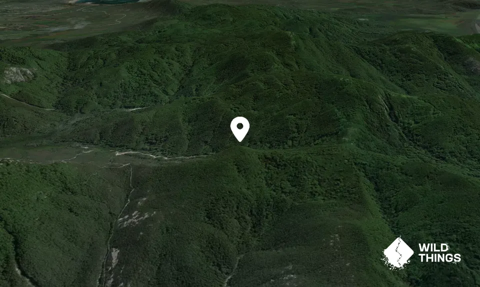 Mount McAlister