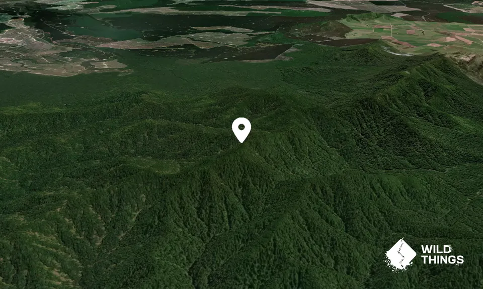 Te Iringa (Kaimanawas)
