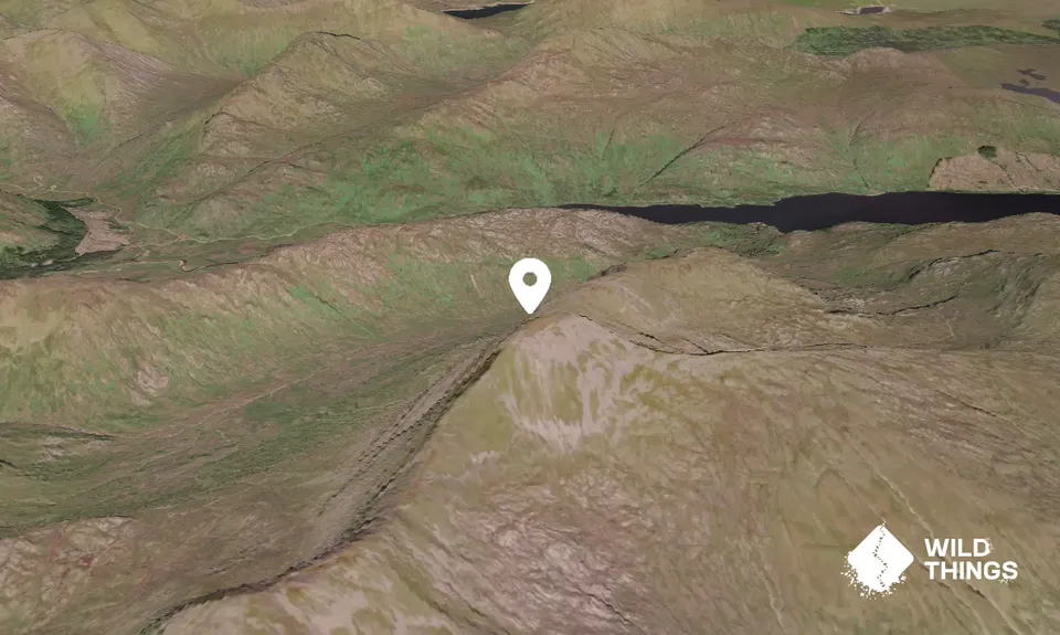 Gulvain (Gaor Bheinn)